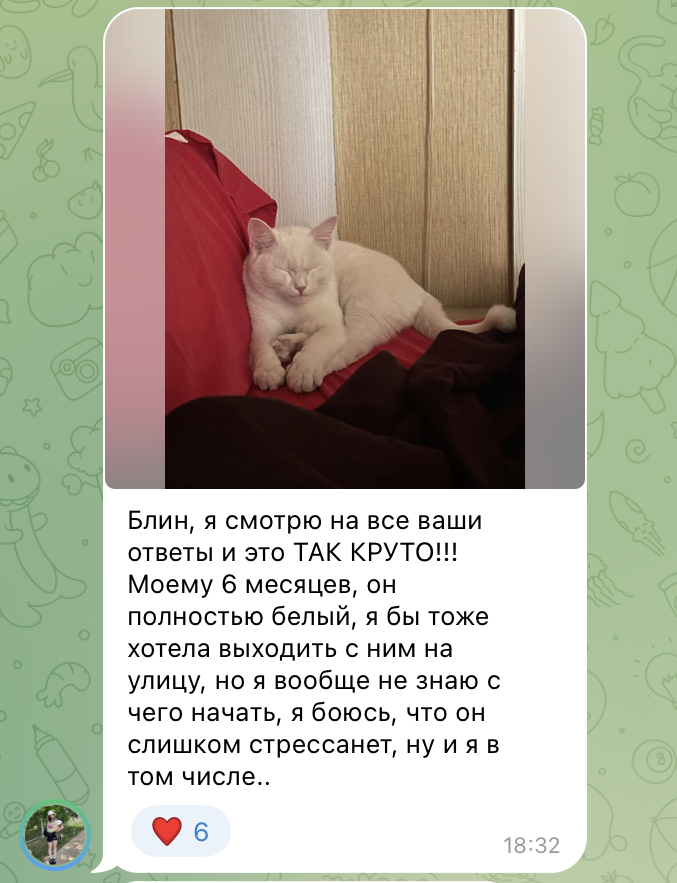 Скрин чата участников