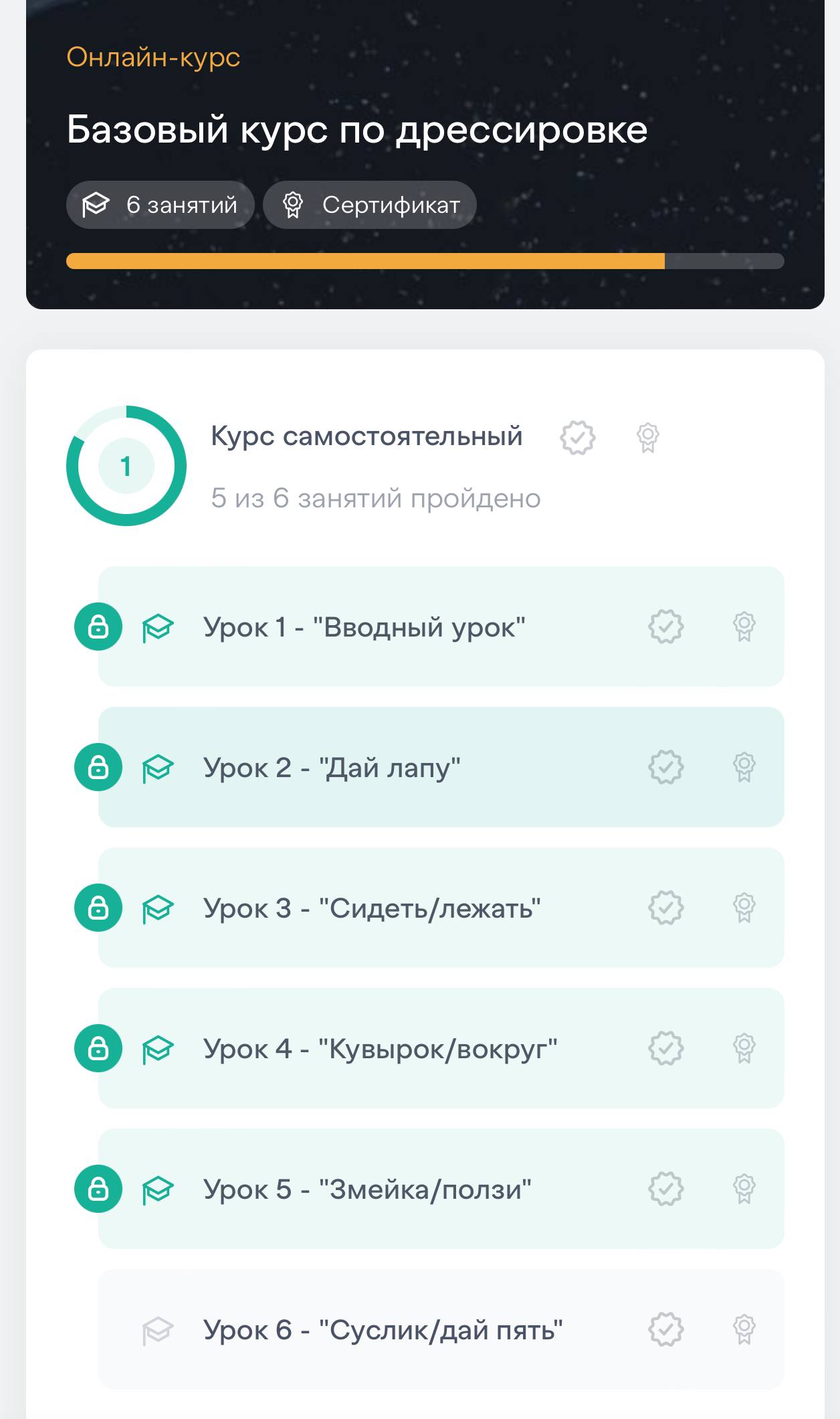 Скрин курса
