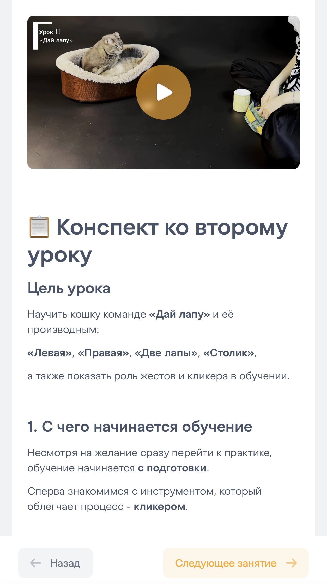 Скрин урока